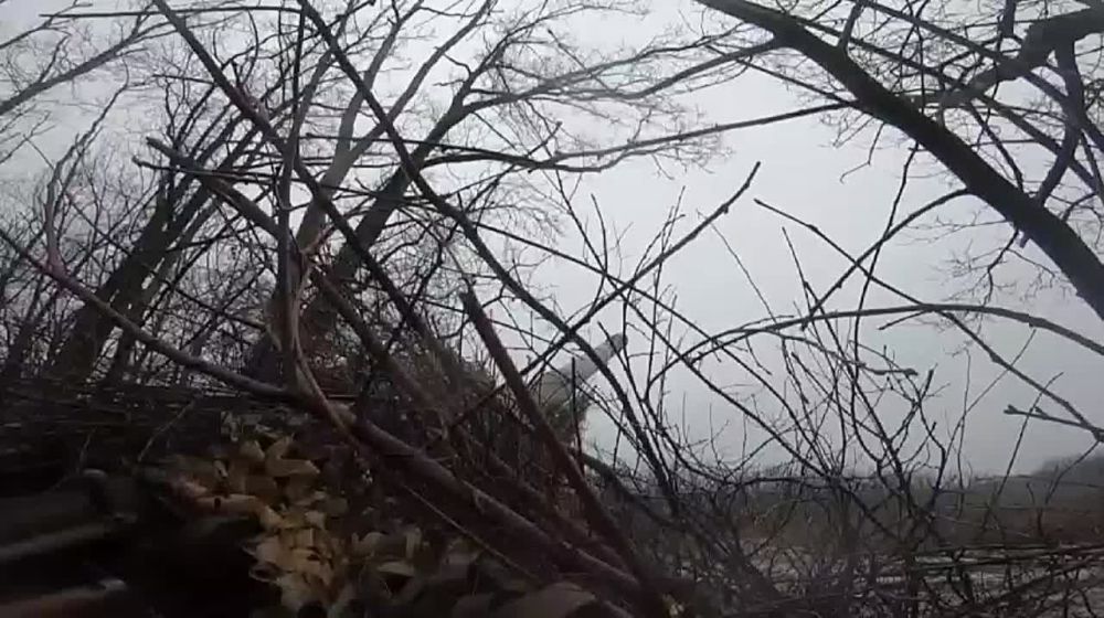 ��������� �������� � �����������, �������� ���� �� �� � ������� ����� ��������: ����� � ������������ ������������, ���...