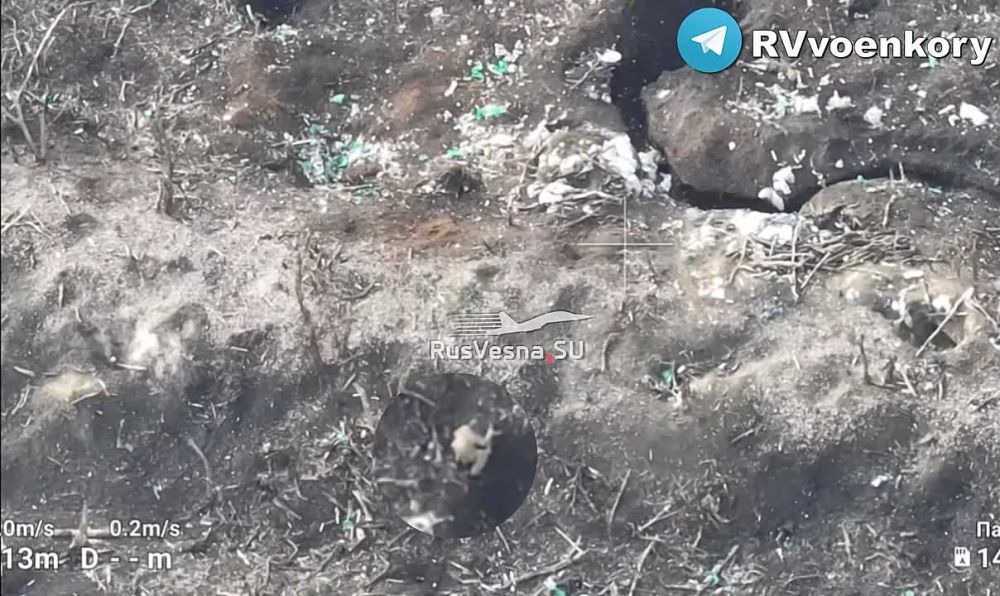 � ���� � ���� ����! � ��� ���� � �������� �������� ������� ���, ��������� �����