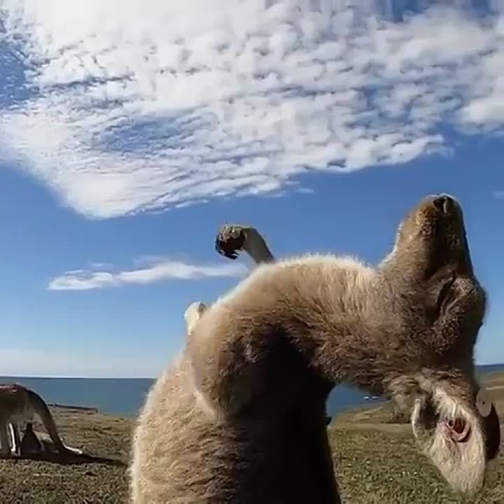 � ������ ����� � ������������� ���!