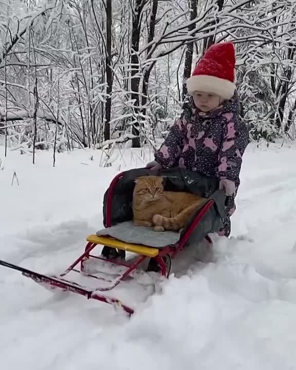 � ������ �����!. ������ � �������� �� �������: