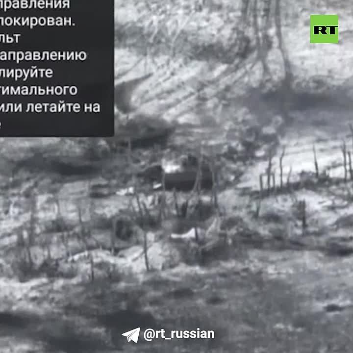 �׸���� ���������! �****, �������, �� �**!�