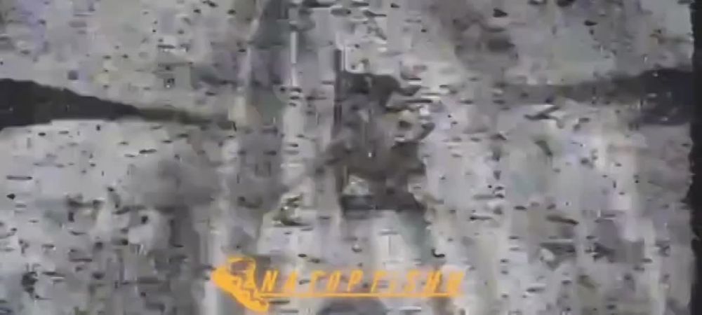 Три танка Leopard 2 ВСУ были сожжены российскими fpv-камикадзе на Купянском направлении