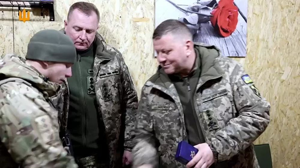 �������� �������� ��������� �� ���� ������������