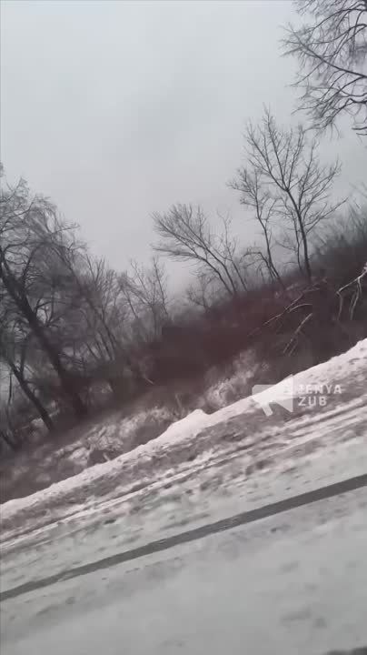 ����������� Zorro ���� �� ���� ������������ ���������� ����������