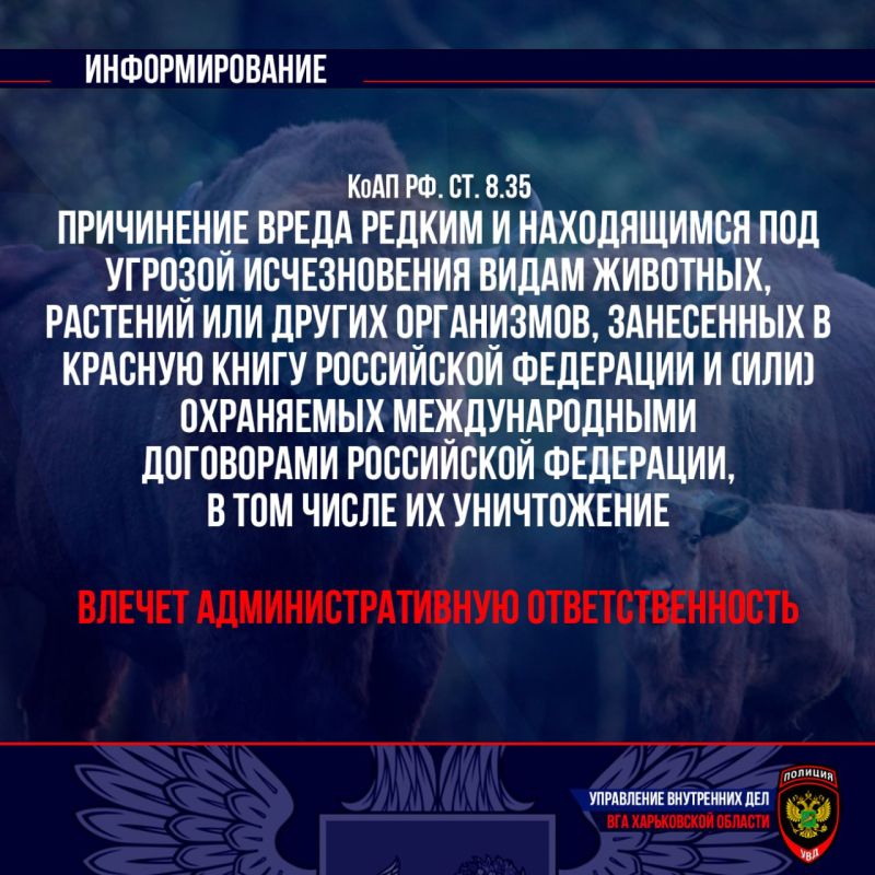 ���������� ���������� ��� ��� ����������� ������� ����������� ������� �� ���������������� ��������������� �� ����������...