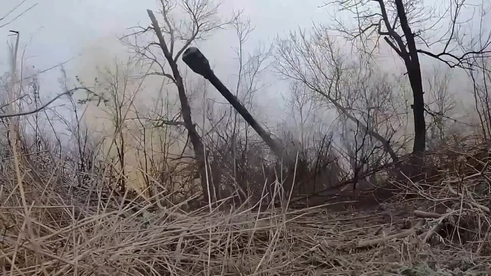 ����� 700 �������� ���� ���������� � ������ ������ �������� �� ���� ����� ������ ��� �� �������� �����