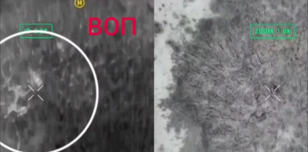 ���������� ������������ �� ��������������� � ���������� ������� ������� ������ ���