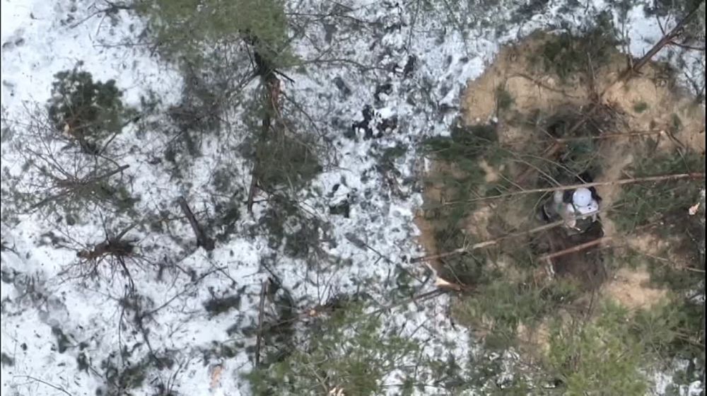 Точнейший сброс гранаты за шиворот хохлу от наших разведчиков на Купянском направлении