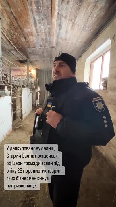 ��� ��������� �������� 15 ������������ ���� ��������� ������� � ����� 5 ���������� �������