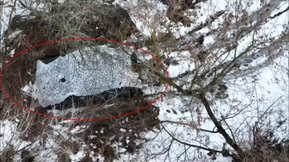 Будни российских военнослужащих, выполняющих работу по охране государственной границы в Белгородской области и недопущению проникновения ДРГ ВСУ на территорию России