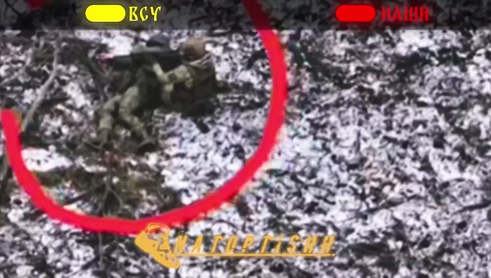 ����� �.�. ���������, ����������� �������