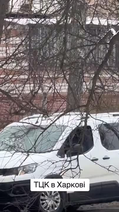 ���������� � ��������