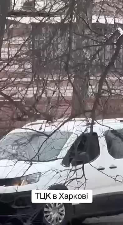 �������. ��� ������� �����