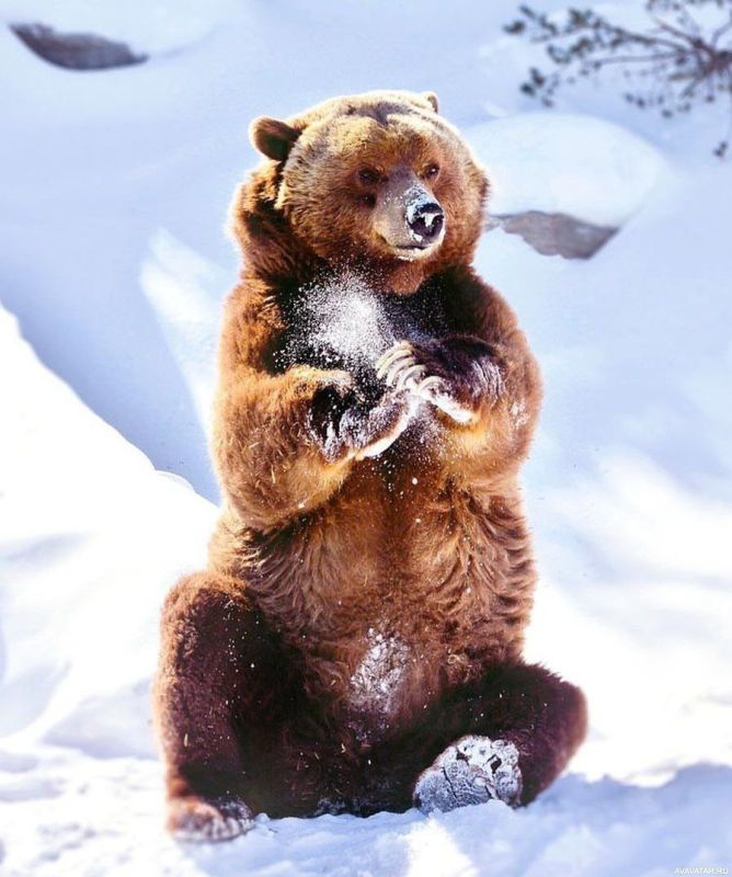 � ������ ����� � ������������� ���!