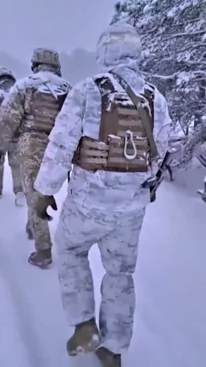 ���������� ������� ������� ����������� �������� � ������� ������ �������������