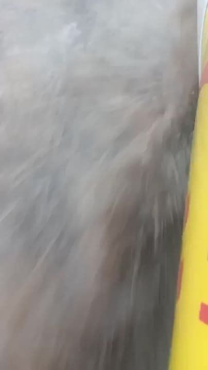 ���� ���� � �������� �������� ��� ������������� �������� � ������ �, ��������, ��� ��������� ����������� �����������...