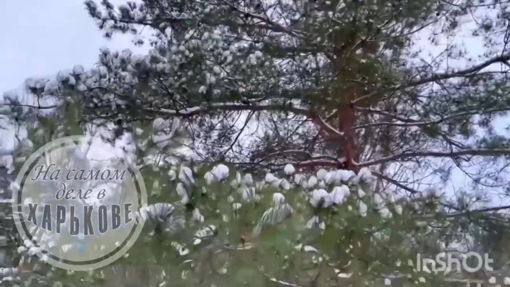 � ��������� ��������� ���!