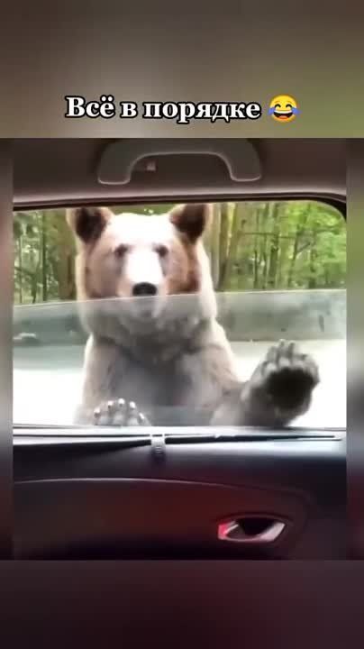 ��� � �������. ������ ����! ����������� ���! ������ � �������� �� �������: