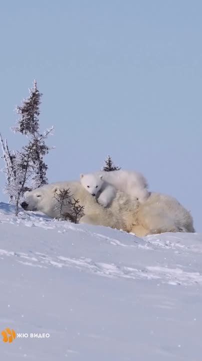 ��������� ����!. � �������� ����������, 5 �C #��������������������