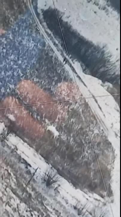 ����������� �����������