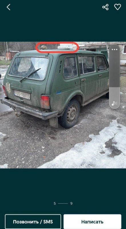 "�����������" ��-���������