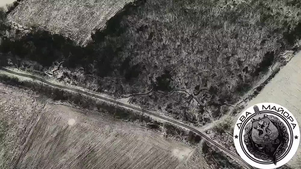 ��� ������: ����������� �����������