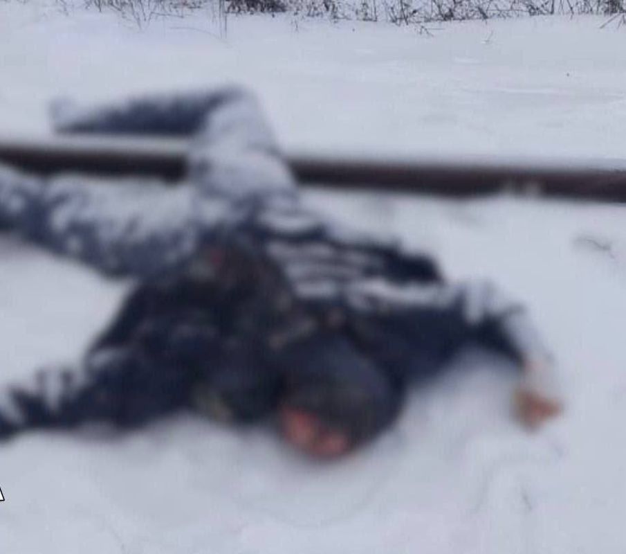 ��������: � �������� �������� �������� ���������