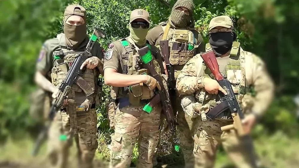 ������ ���������� � �������� ���� ������������ ��������