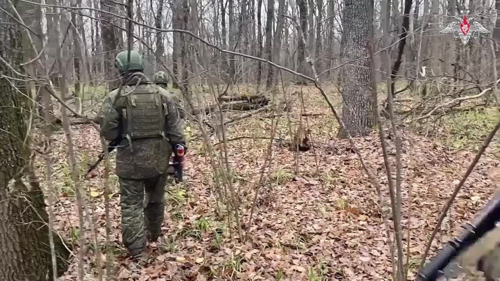 ������� ������-��������� ����������������� ������������� ���������� ���������� ������ ��������� ���������� � �������� ��� �� ��������� �����������