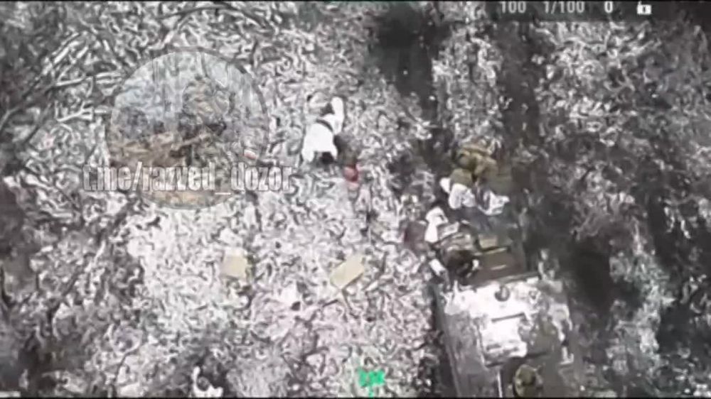 �������� ���� ������� ��� ����� ��� ���� ��������� �� ����� ������� �������������� �� ��� �113