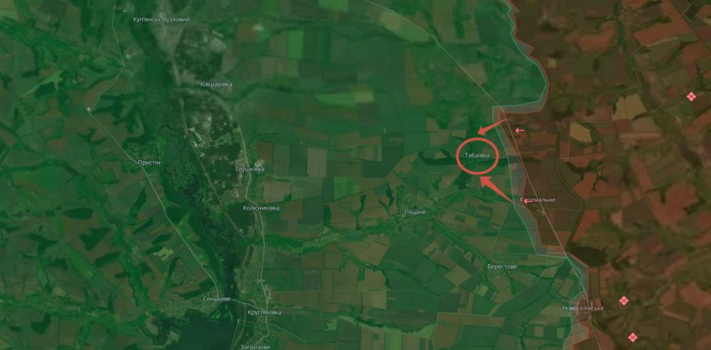 ����� 47-� �������� ������������� ��������������, ������ �������� ������� ����������� ����� �� ������ ���������� ������ �������� ����������� ������� �������� ����� ����� ������������ ������������