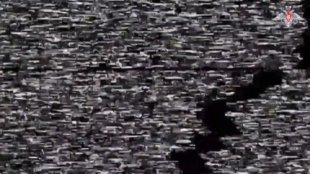 ����� 800 ���������� �������������� �������� ��� �� ��������� �����