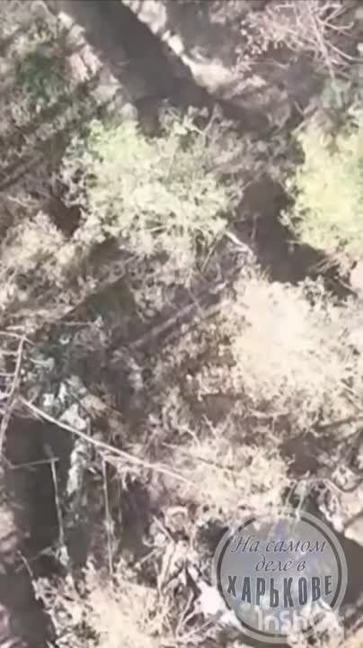 Точно в цель!. Наши бойцы показывают мастерство работы по противнику 120 минометом