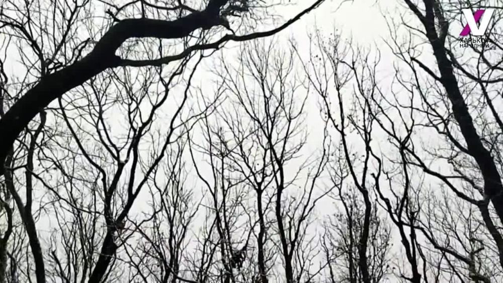 ����� "������V ��������" ���� ��������� �������� � ���������� ����������� ������ � ������ ������������ ���������� "����"