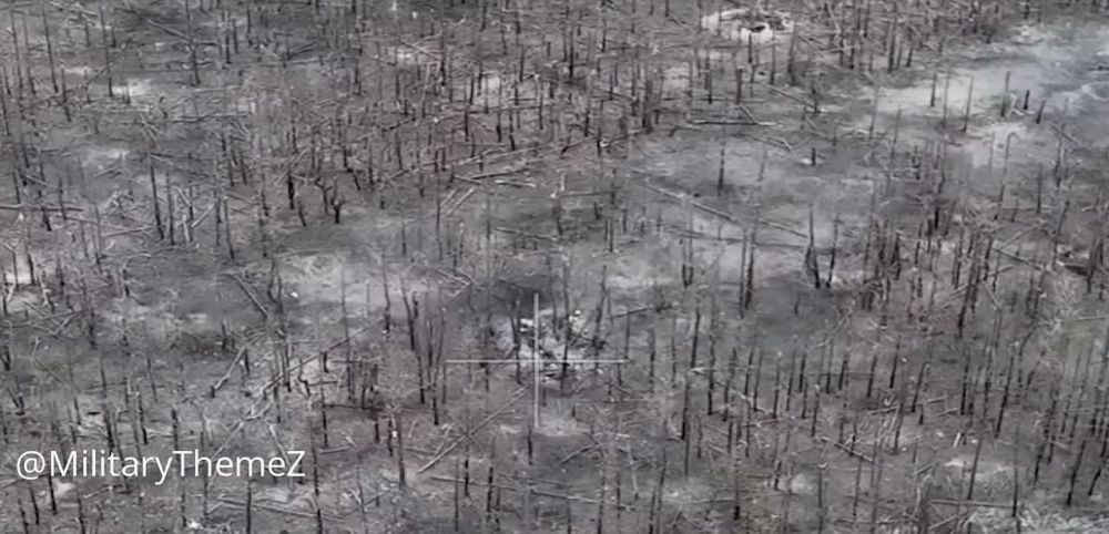 �� ��������� ����������� ���� ��������� ���� �� �������������� � ��������������, "��������" ������ ����� � ������� ���������