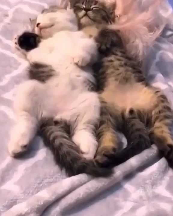 ������ ����!. � �������� ��������, ��������� ����, +1 �C #��������������������