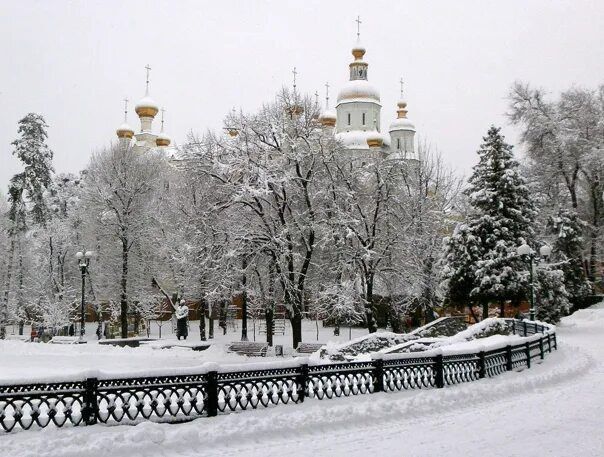 ������� ����������. �� ��������� ��������� ����� ������� � ������� ��������� ������ �������