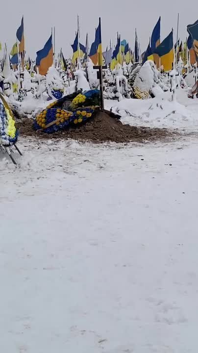 ����� �� ��������, ��� ����� �������� ������� ��� ����� ����� ��������