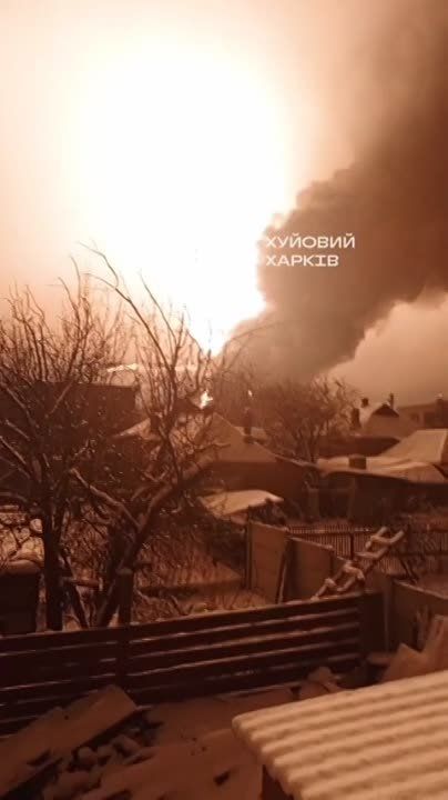 "�� ���� ����! ��� ����! ��� ��� ��!"