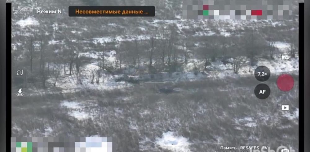 ����������� �����������