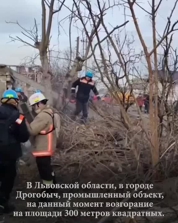 ������������� ���� �� ������� �������� �������