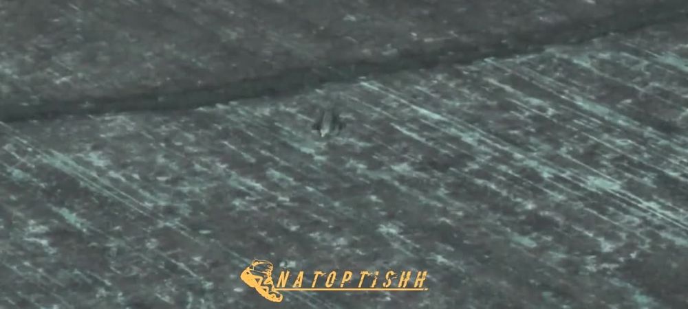 ������� �������� ����������� ����� ��������� ��������� � ���� �������� ��-28 ��� ������ �� �������� ���������� � ������ �.�. ��������� ����������� �������