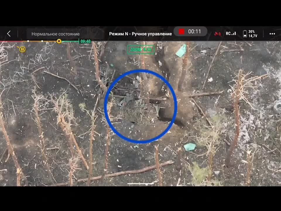 ������ ���������� ������ "����" �������������� ����������� ����� ����� �� ��������� �����������