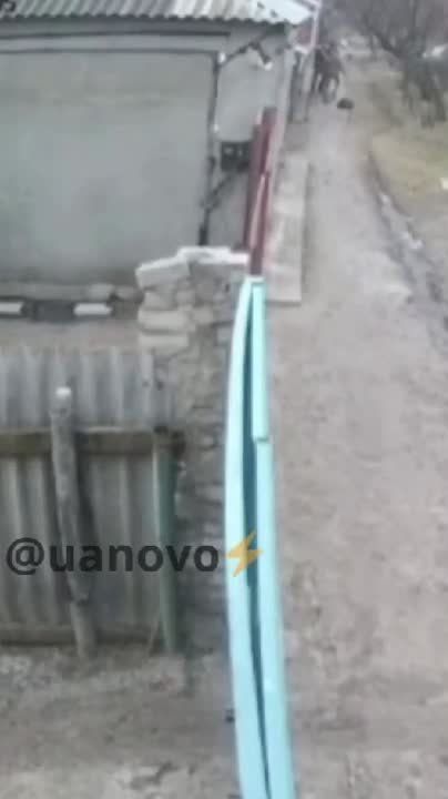 � �������� �������� ������� ���������� �������������� ����� - ����� ������� � ������