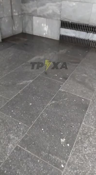 ��� "���������" � ������������ ���������� �� ����� �������