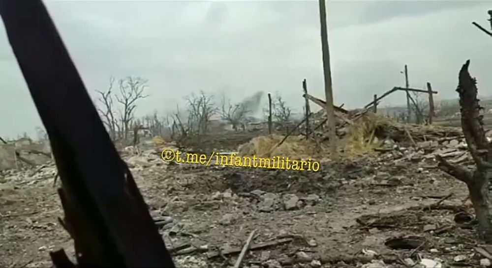  :         ,     