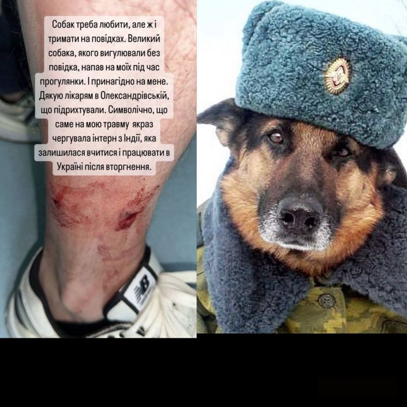 ������ �������, ��� ��� �������� ������ � ����������� ���� ������������� ����