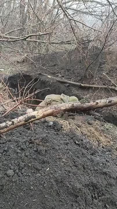 ������� ��� ��������� � ���, ��� ���������� ����� ������ �� �������� �� ������� �������������� �������