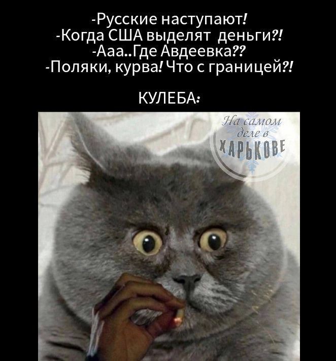 ����� ����������� ��������� (����������� � ����������� �����), ����� � �� ����������!