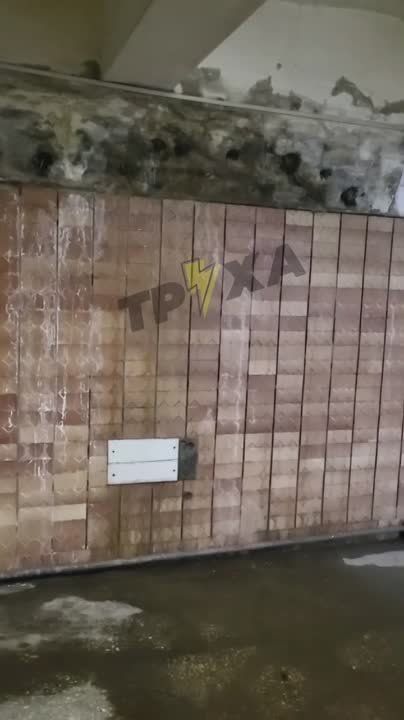 ����������� ������������ ���� ������ ���������?